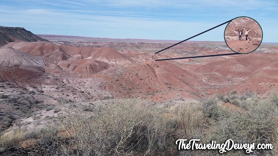 Painted Desert Explorers