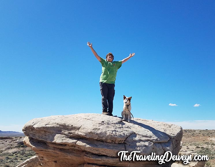 A Boy and His Bark Ranger