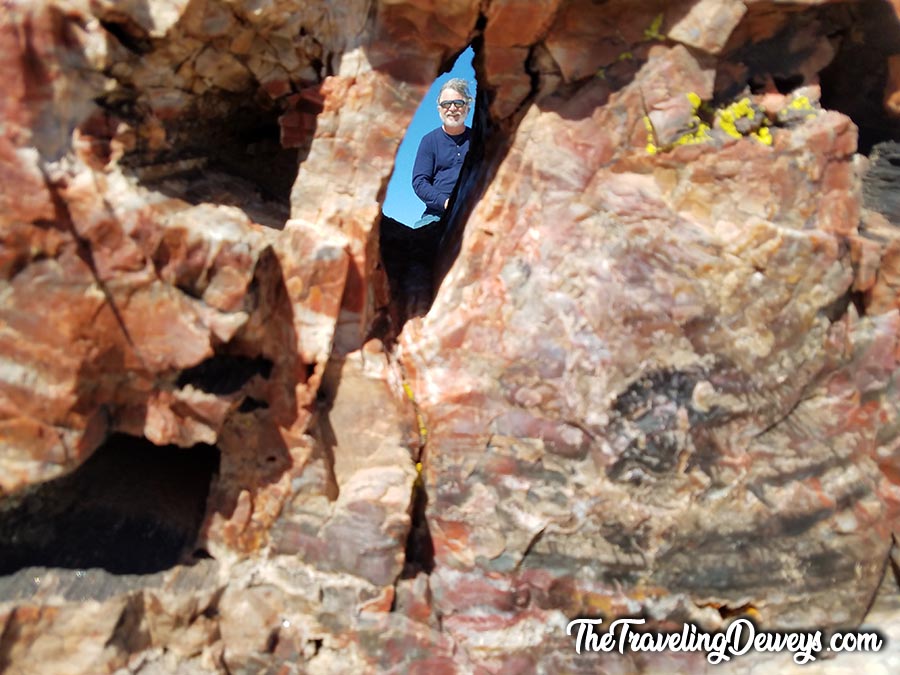 Dad Shot Through Petrified Log - Photo By Alex