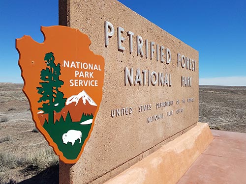 Petrified Forest National Park