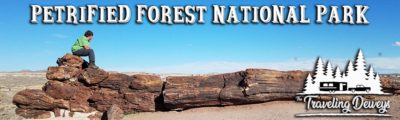 Petrified Forest National Park