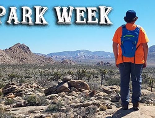 Celebrating National Park Week!  Where Will You Go?