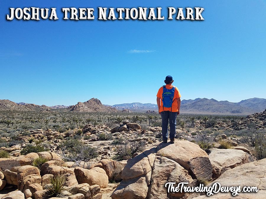 Joshua Tree National Park