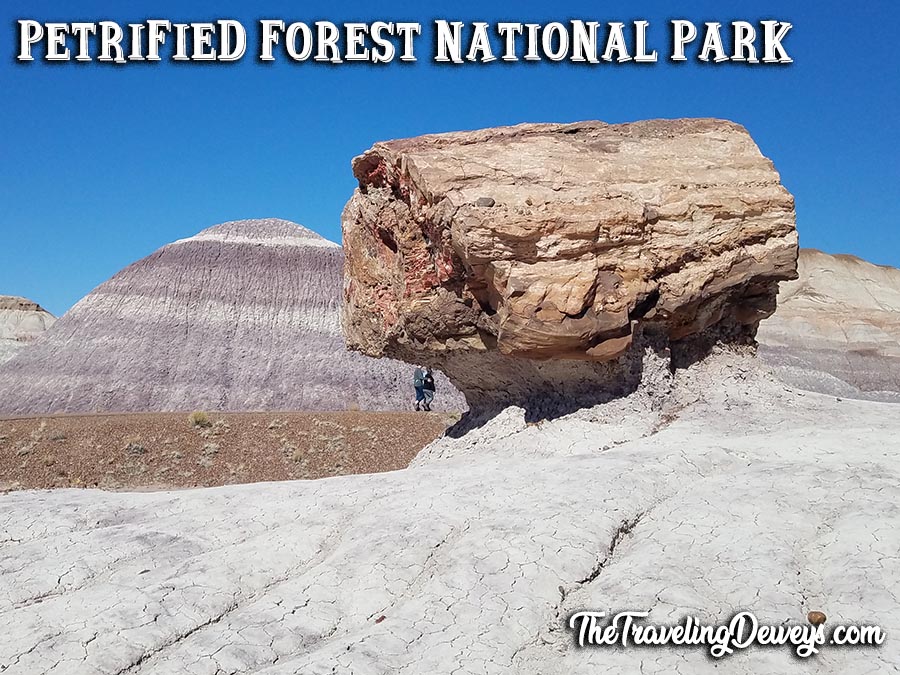 Petrified Forest National Park