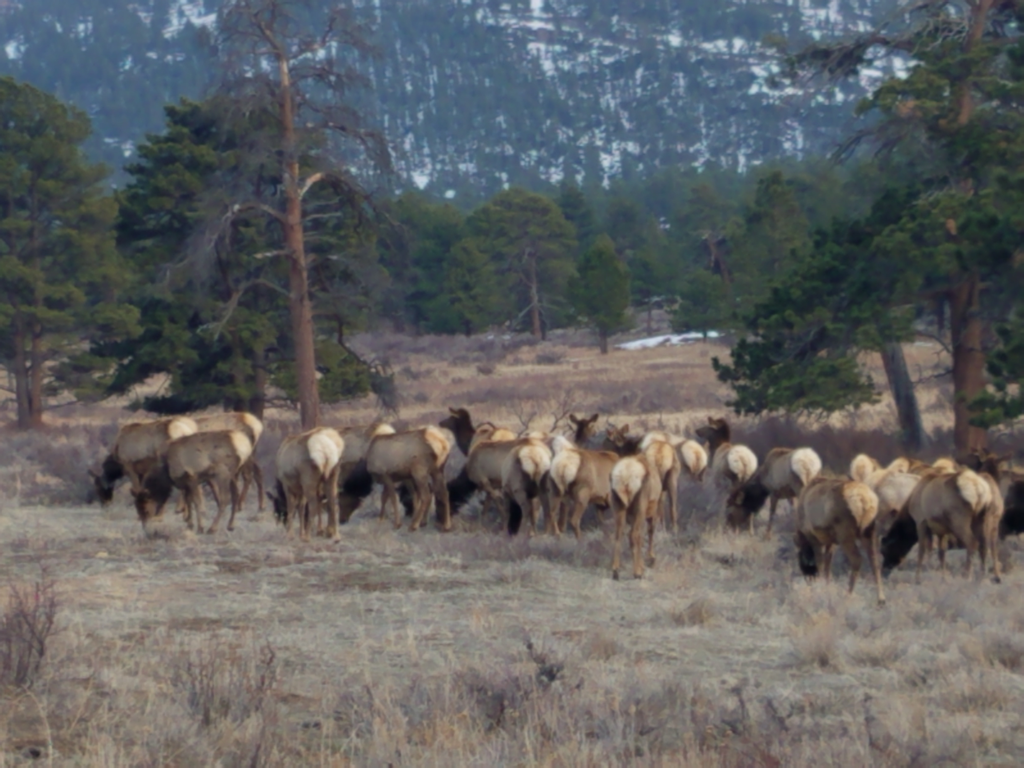 Rocky Mountain National Park