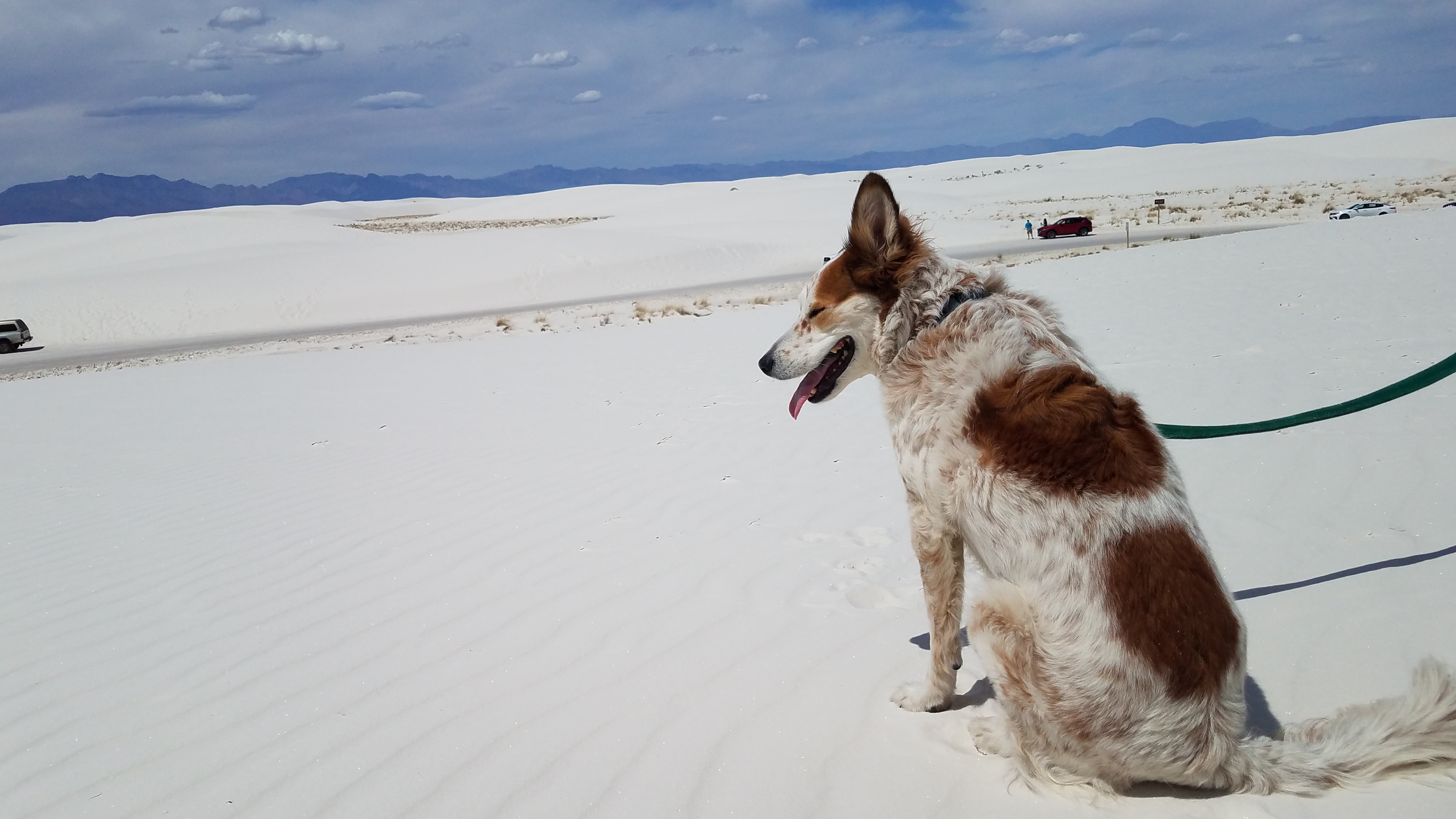 White Sands NM