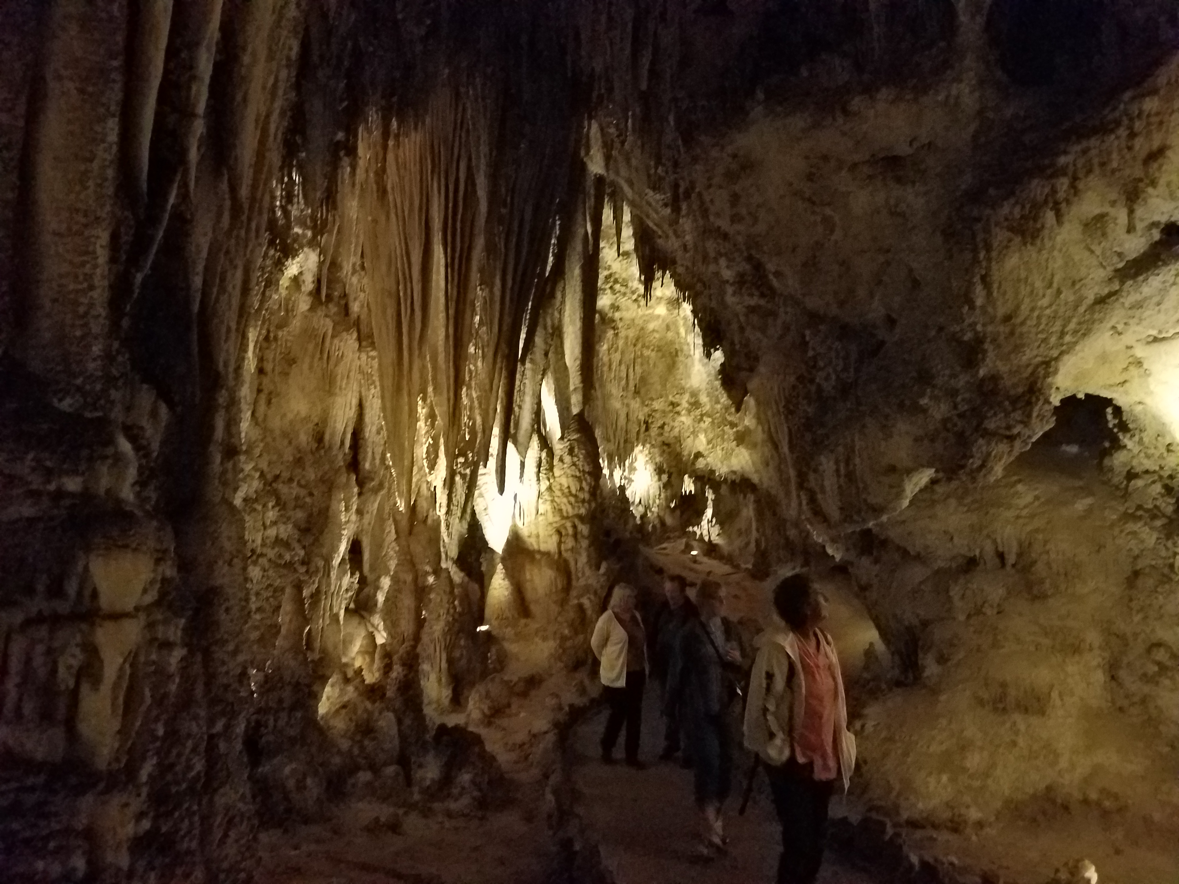 Carlsbad Caverns - King\'s Palace Tour