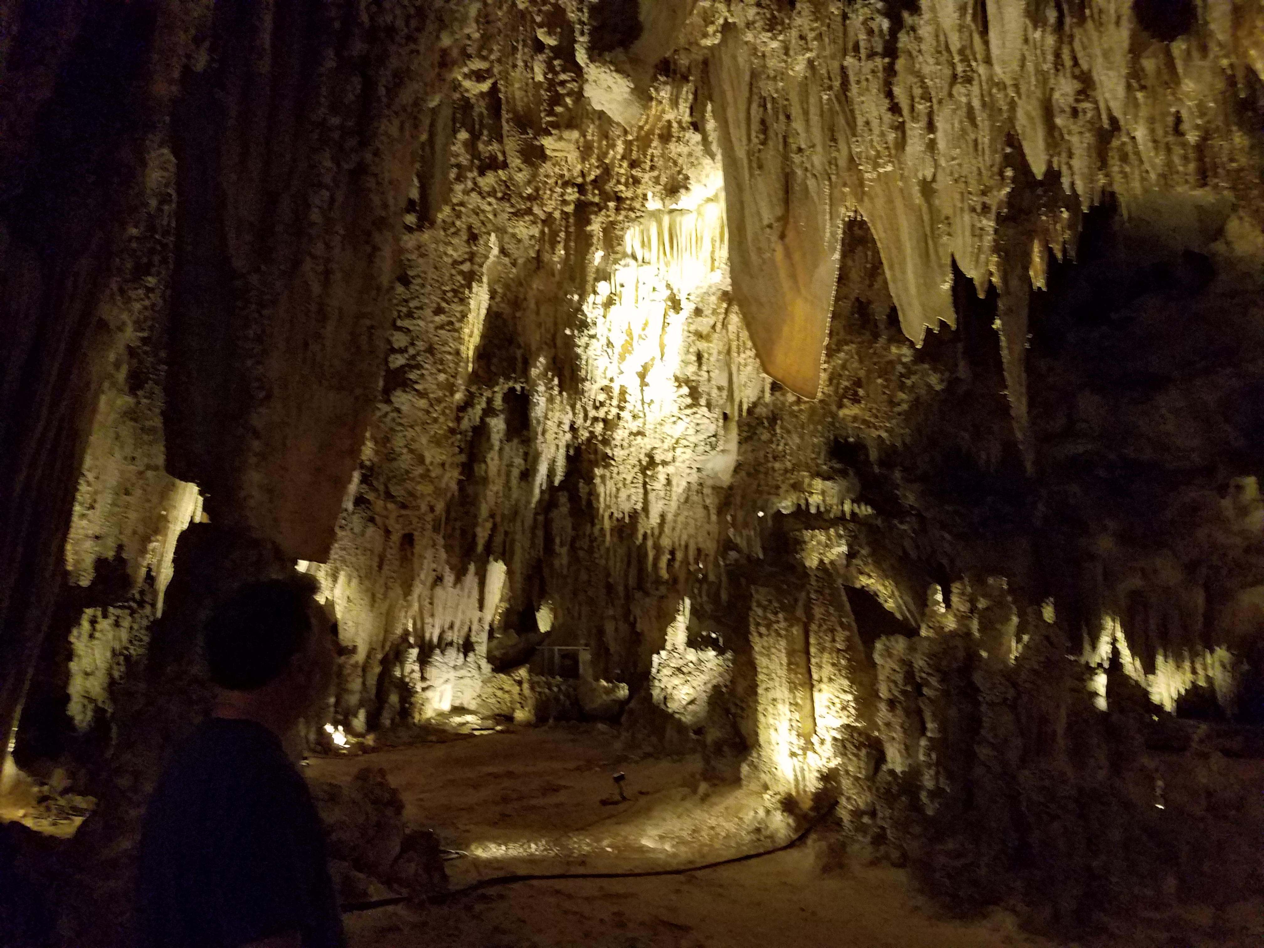 Carlsbad Caverns - King\'s Palace Tour