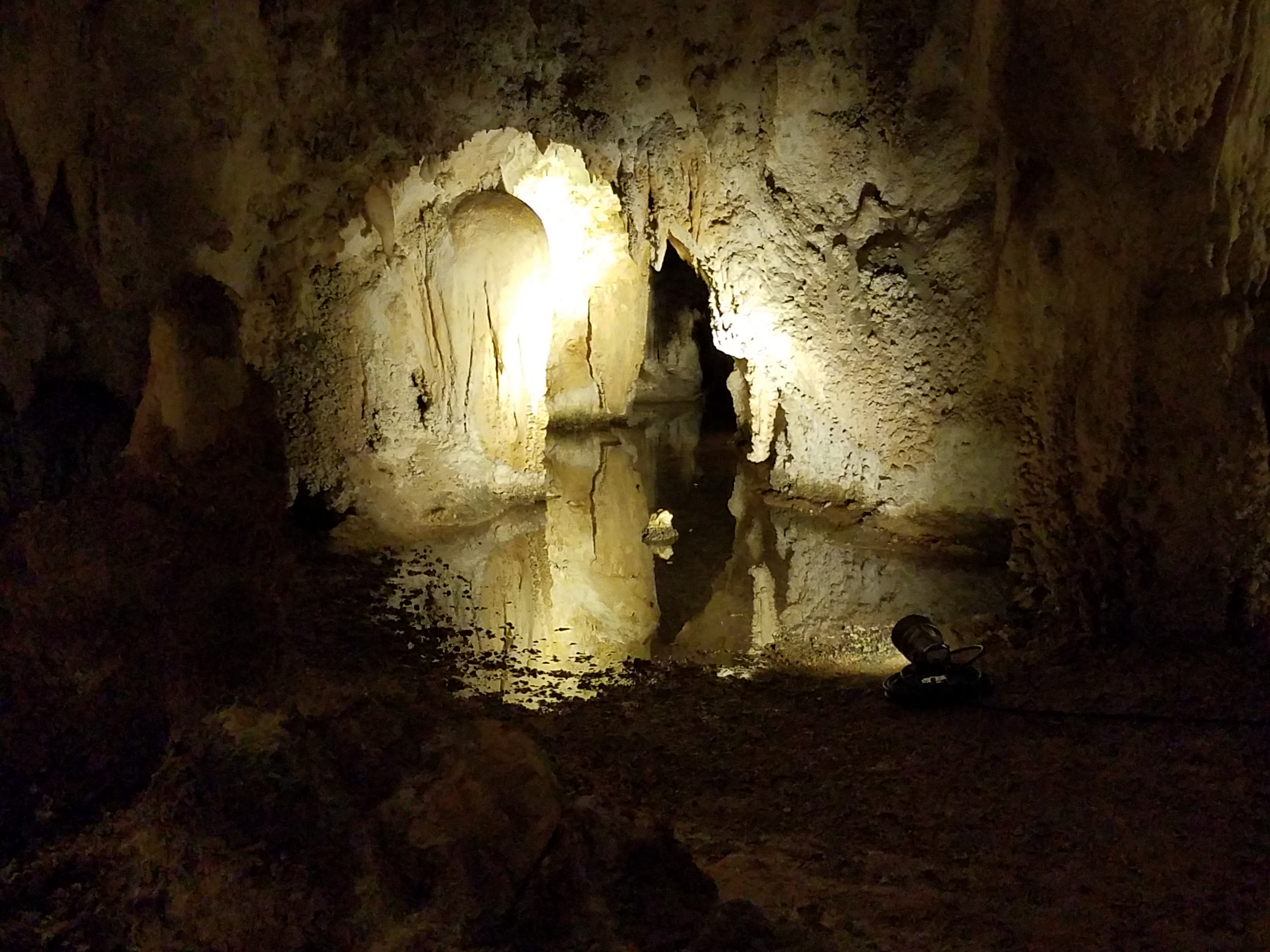 Carlsbad Caverns - King\'s Palace Tour